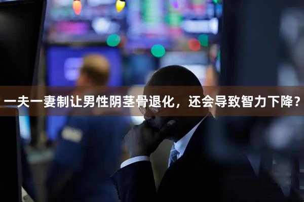 一夫一妻制让男性阴茎骨退化，还会导致智力下降？