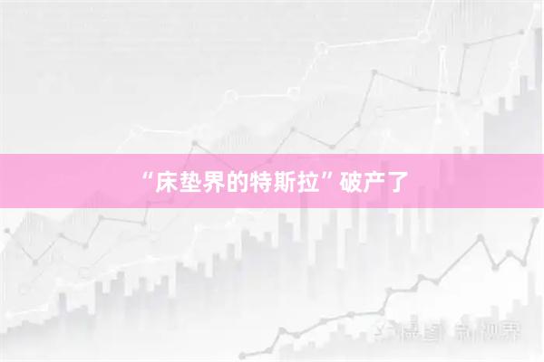“床垫界的特斯拉”破产了