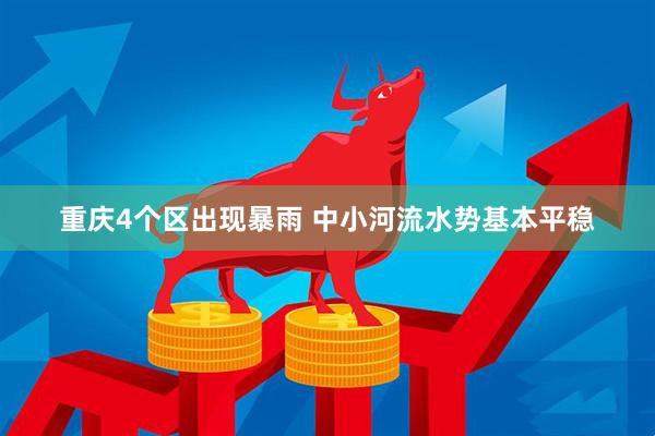 重庆4个区出现暴雨 中小河流水势基本平稳